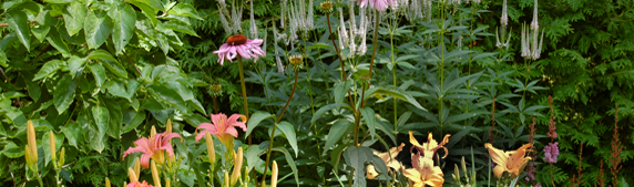 Blomrabatt